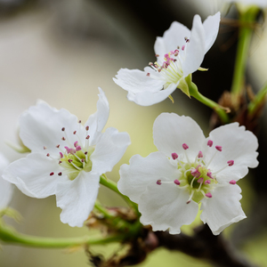 午夜性福利视频
